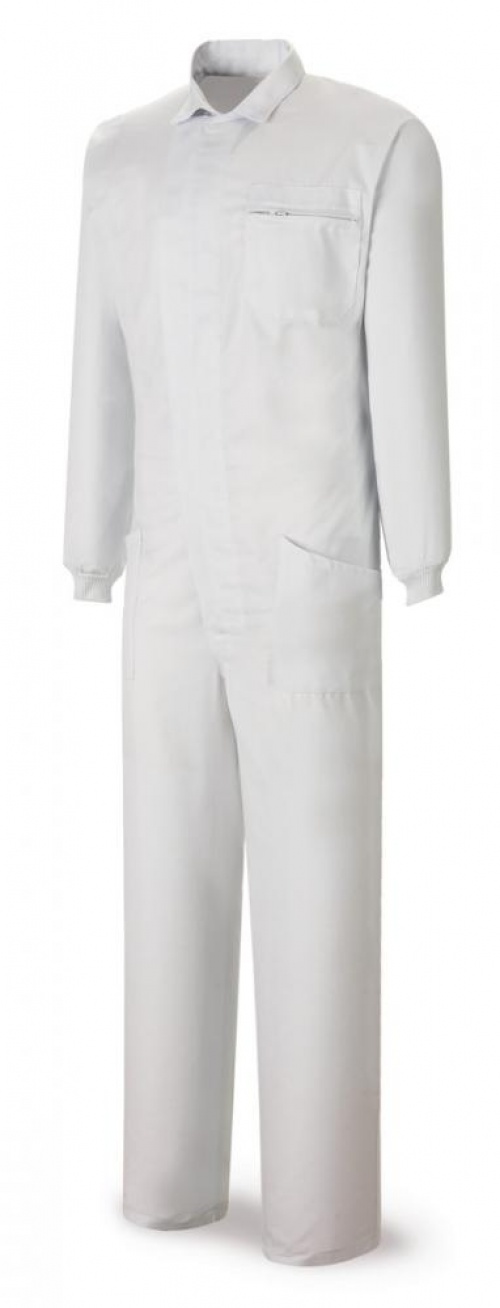 Eksperta Baleares.Buzo tergal